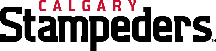 calgary stampeders 2012-pres wordmark logo iron on transfers for T-shirts